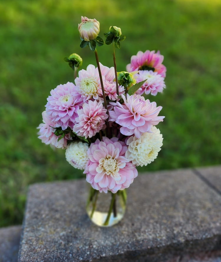 Wholesale Cut Flowers