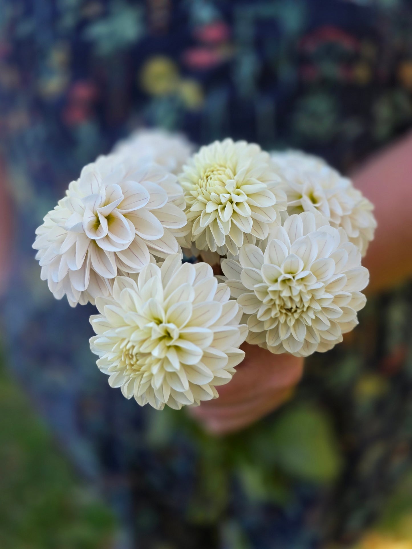 Bazuin Snow Owl Tuber