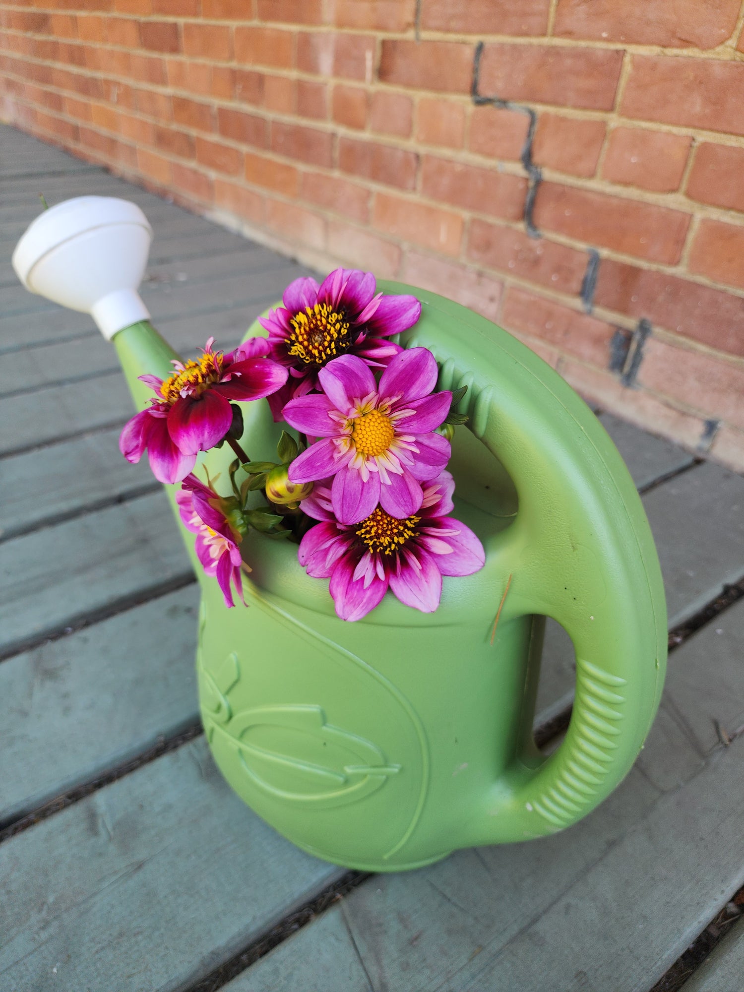 Gardening Gear and Tools