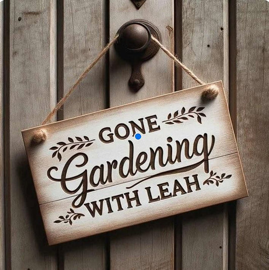 Lakehillls Phred (1 tuber)