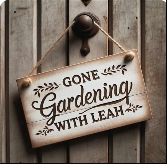 Sturm Kika (1 tuber)