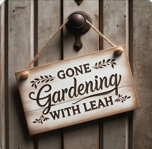 Skeena Sky (1 tuber)